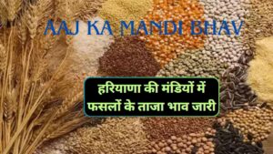 Aaj Ka Mandi Bhav