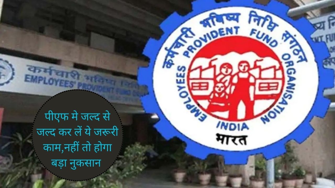 EPFO E-Nomination:पीएफ मे जल्द से जल्द कर लें ये जरूरी काम,नहीं तो होगा बड़ा नुकसान