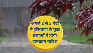 Haryana Weather Alert:अगले 2 से 3 घंटों मे हरियाणा के कुछ इलाकों मे होगी झमाझम बारिश, जानिए कहा कहा होगी बारिश