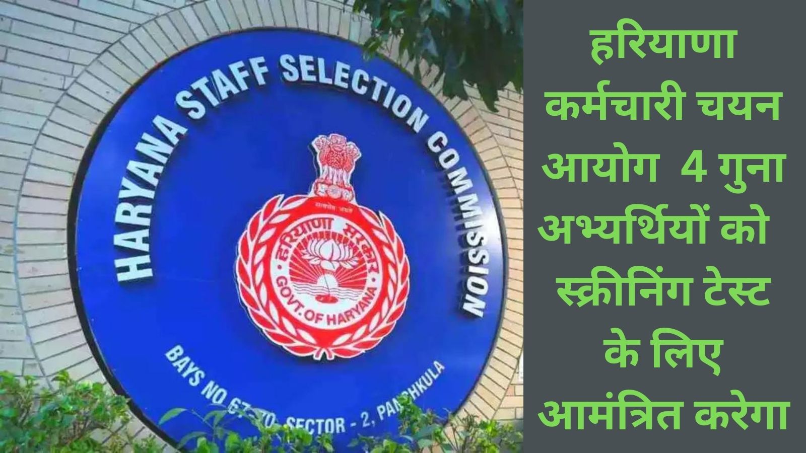 HSSC CET Screening Test: Cet पास अभ्यर्थियों के लिए खुशखबरी,हरियाणा कर्मचारी चयन आयोग 4 गुना अभ्यर्थियों को स्क्रीनिंग टेस्ट के लिए आमंत्रित करेगा