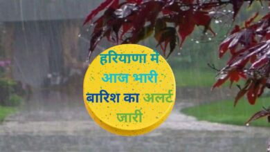 Haryana Weather Alert Today:हरियाणा मे आज भारी बारिश का अलर्ट जारी,जानिए आज बारिश कहा कहा होगी