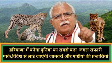 Jungle Safari Park Built In Haryana:हरियाणा में बनेगा दुनिया का सबसे बडा जंगल सफारी पार्क,विदेश से लाई जाएंगी जानवरों और पक्षियों की प्रजातियां