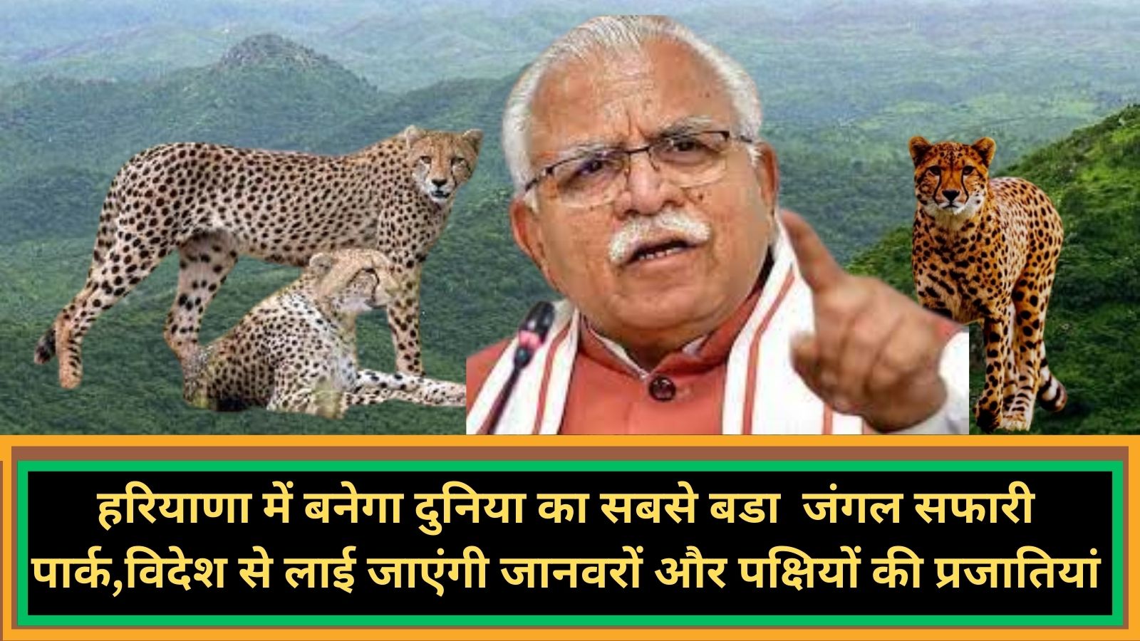 Jungle Safari Park Built In Haryana:हरियाणा में बनेगा दुनिया का सबसे बडा जंगल सफारी पार्क,विदेश से लाई जाएंगी जानवरों और पक्षियों की प्रजातियां