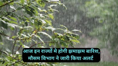 Weather Alert:आज इन राज्यों मे होगी झमाझम बारिश, मौसम विभाग ने जारी किया अलर्ट
