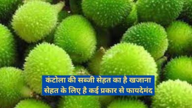 Kantola Vegetable Benefits:कंटोला की सब्जी सेहत का है खजाना,सेहत के लिए है कई प्रकार से फायदेमंद,