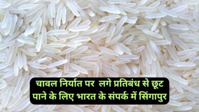 Rice Export Ban:चावल निर्यात पर लगे प्रतिबंध से छूट पाने के लिए भारत के संपर्क में सिंगापुर