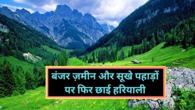 Tetulmari of Dhanbad:बंजर ज़मीन और सूखे पहाड़ों पर फिर छाई हरियाली, वैज्ञानिकों का ये प्रयोग किसी चमत्कार से कम नहीं