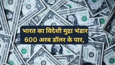 India Forex Reserves: भारत का विदेशी मुद्रा भंडार 600 अरब डॉलर के पार, 15 महीने के उच्चतम स्तर पर पहुंचा विदेशी मुद्रा भंडार