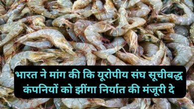 Shrimp Export News:भारत ने मांग की कि यूरोपीय संघ सूचीबद्ध कंपनियों को झींगा निर्यात की मंजूरी दे