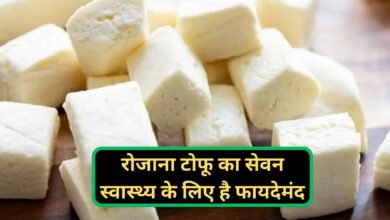 Tofu Health Benefits:रोजाना टोफू का सेवन स्वास्थ्य के लिए है फायदेमंद,जानिए सेहत के लिए बेहतरीन फायदे
