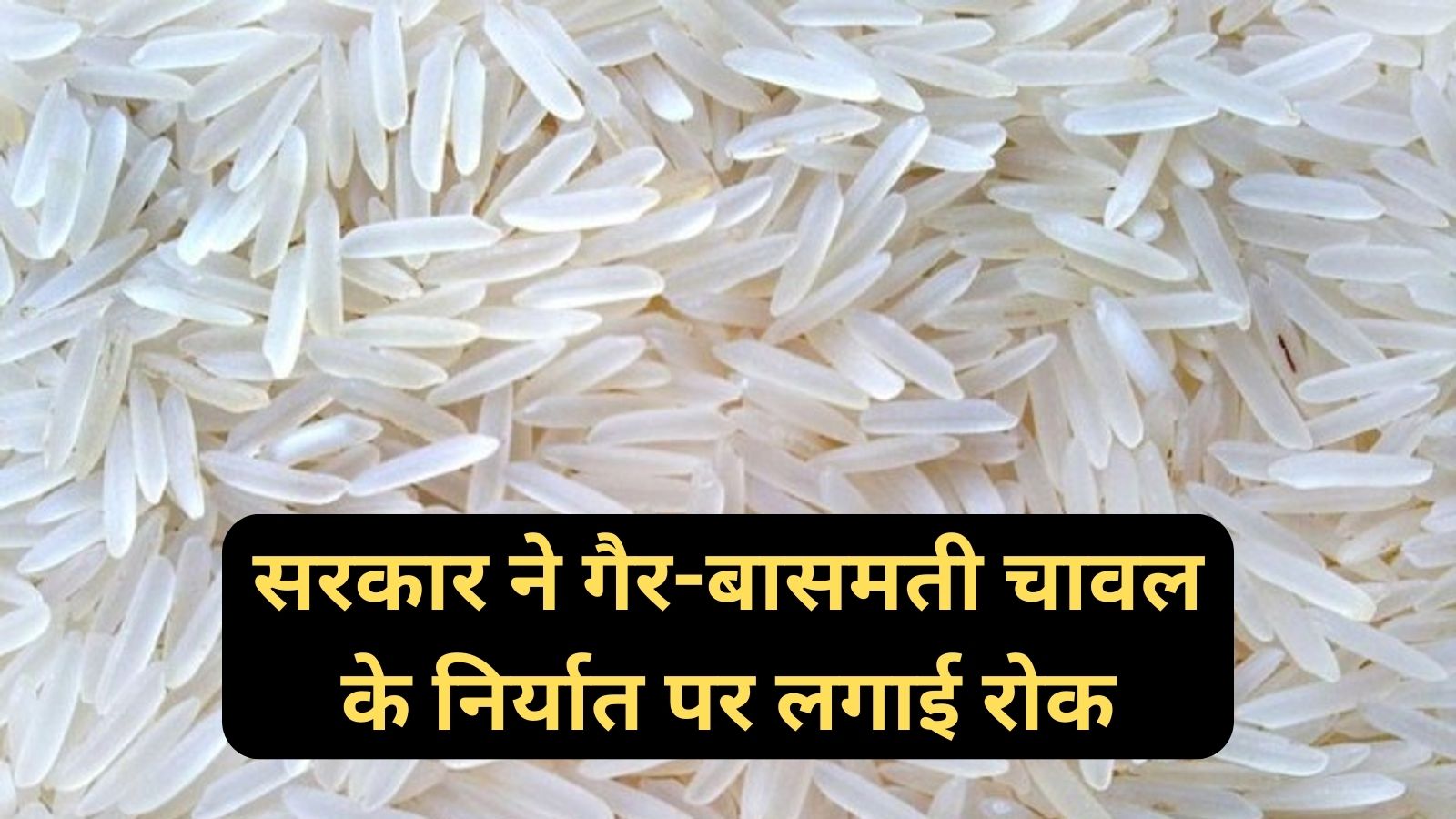 Non-Basmati Rice Export Ban:सरकार ने गैर-बासमती चावल के निर्यात पर लगाई रोक,गैर-बासमती चावल के निर्यात पर तत्काल प्रभाव से लगाई रोक