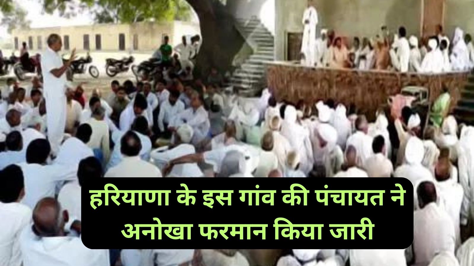 Bhiwani News:हरियाणा के इस गांव की पंचायत ने अनोखा फरमान किया जारी, ग्रामीणों को अपने जानवरों का कराना होगा रजिस्ट्रेशन।