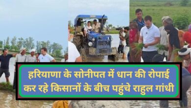 Rahul Gandhi:हरियाणा के सोनीपत में धान की रोपाई कर रहे किसानों के बीच पहुंचे राहुल गांधी! राहुल गांधी ने किसानों और मजदूरों से कृषि पर की बातचीत