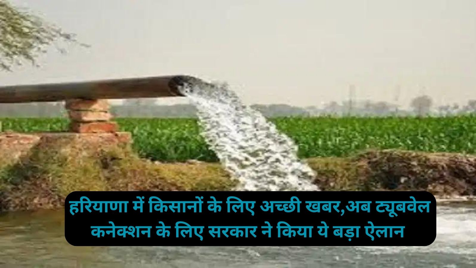 Svaichchhik Bhaar Ghoshana Yojana- 2023 : हरियाणा में किसानों के लिए अच्छी खबर,अब ट्यूबवेल कनेक्शन के लिए सरकार ने किया ये बड़ा ऐलान