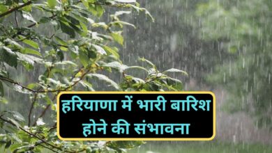 Haryana Rainfall Alert:हरियाणा में भारी बारिश होने की संभावना, मौसम विभाग ने जारी किया अलर्ट