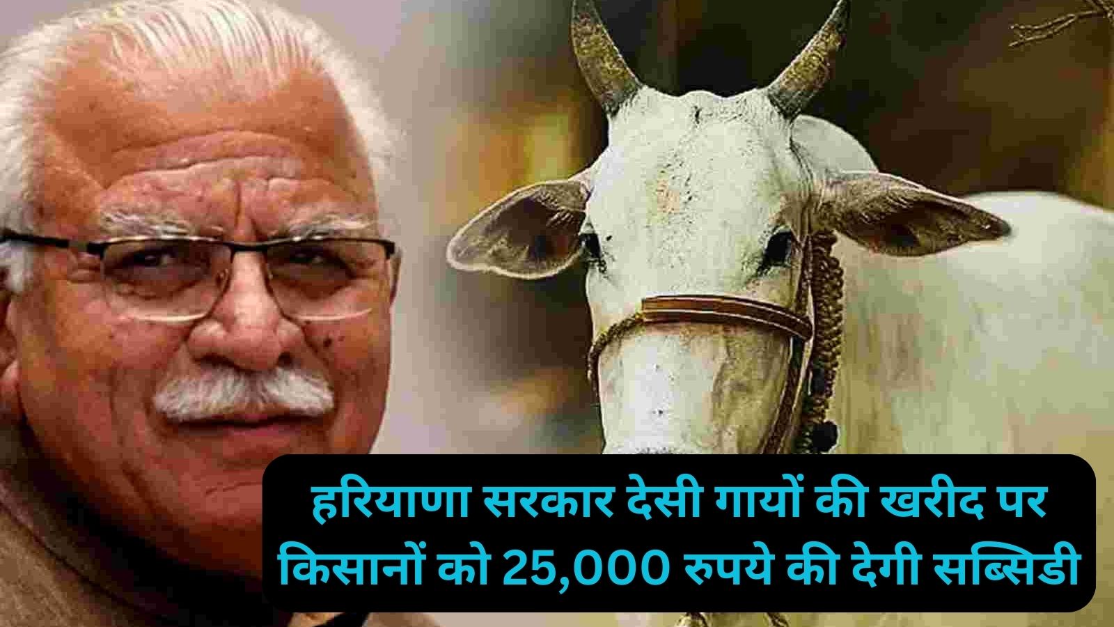 Haryana Govt Scheme:हरियाणा सरकार देसी गायों की खरीद पर किसानों को 25,000 रुपये की देगी सब्सिडी,जानिए इस योजना के बारे मे