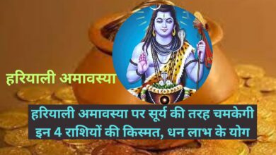 Hariyali Amavasya:हरियाली अमावस्या पर सूर्य की तरह चमकेगी इन 4 राशियों की किस्मत, धन लाभ के योग