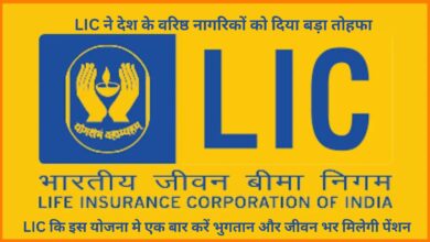 Saral Pension Yojana:LIC ने देश के वरिष्ठ नागरिकों को दिया बड़ा तोहफा, LIC कि इस योजना मे एक बार करें भुगतान और जीवन भर मिलेगी पेंशन