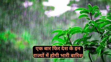 Weather Alert :एक बार फिर देश के इन राज्यों में होगी भारी बारिश, IMD ने जारी किया अलर्ट,