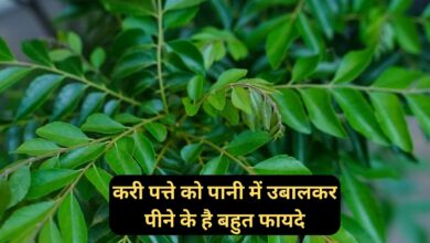 Curry leaves benefits:करी पत्ते को पानी में उबालकर पीने के है बहुत फायदे,सेहत को मिलते है कई फायदे