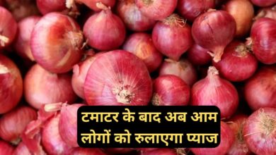 Onion Rate:टमाटर के बाद अब आम लोगों को रुलाएगा प्याज, तेजी से बढ़ेंगी कीमतें!