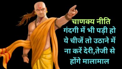 Chanakya Niti:गंदगी में भी पड़ी हो ये चीजें तो उठाने में ना करें देरी,तेजी से होंगे मालामाल!
