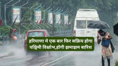 Haryana Weather Update:हरियाणा मे एक बार फिर सक्रिय होगा पश्चिमी विक्षोभ,होगी झमाझम बारिश