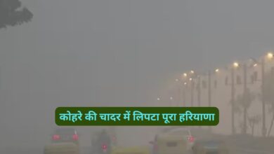 Haryana Weather:मौसम विभाग ने जारी किया ऑरेंज अर्ल्‍ट,कोहरे की चादर में लिपटा पूरा हरियाणा,