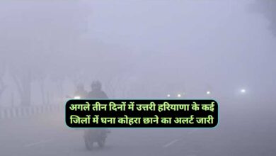 Cold Wave In Haryana:हरियाणा में शीत लहर का कहर जारी,अगले तीन दिनों में उत्तरी हरियाणा के कई जिलों में घना कोहरा छाने का अलर्ट जारी,