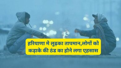Haryana Weather:हरियाणा मे लुढ़का तापमान,लोगों को कड़ाके की ठंड का होने लगा एहसास