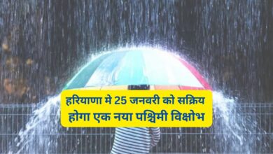 Western Disturbance:हरियाणा मे 25 जनवरी को सक्रिय होगा एक नया पश्चिमी विक्षोभ,होगी रिमझिम बारिश