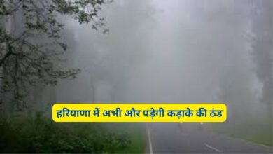 Haryana Weather Forecast:हरियाणा में अभी और पड़ेगी कड़ाके की ठंड,जानिए आने वाले दिनों का मौसम पूर्वानुमान