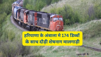 Sheshnag Goods Train