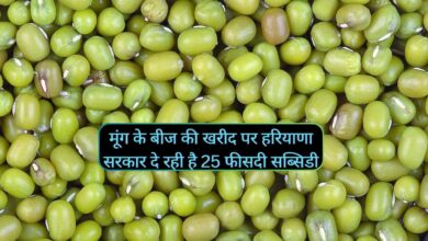 Subsidy Purchasing Moong Seeds