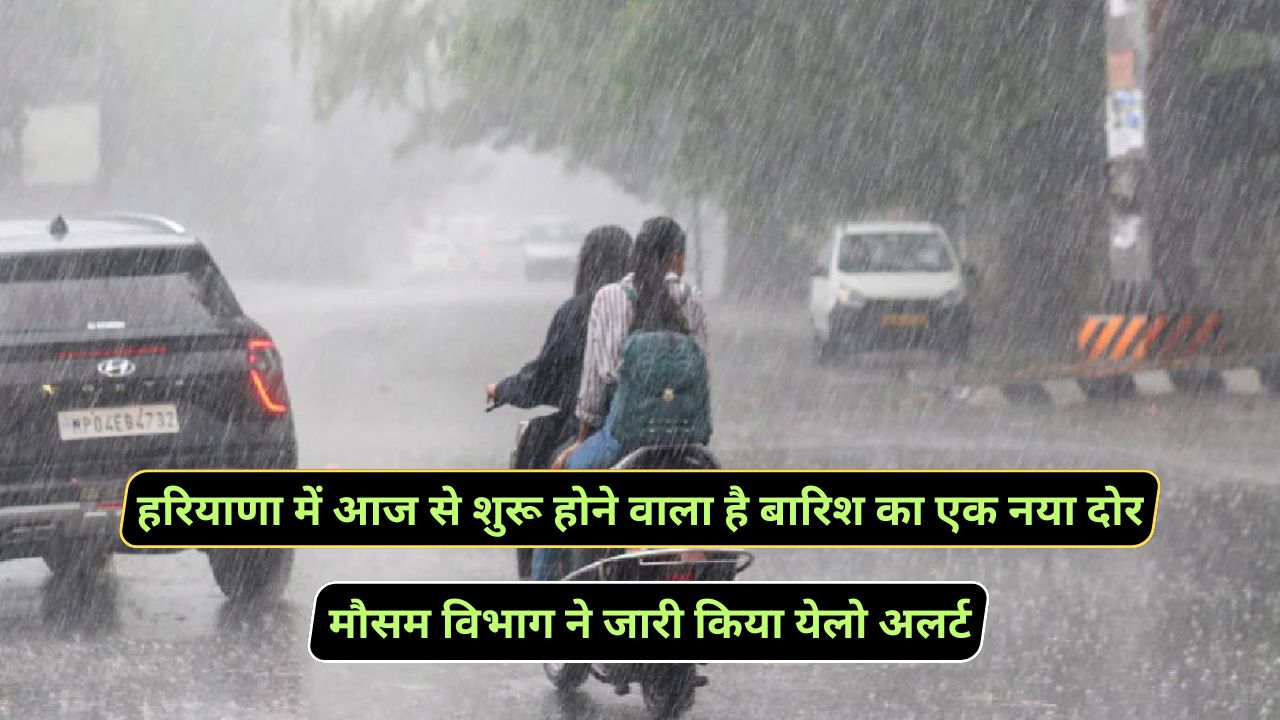 Haryana Rain Alert