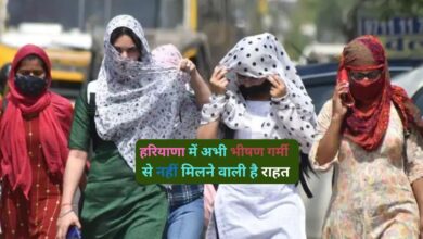 Haryana Heat Wave Alert