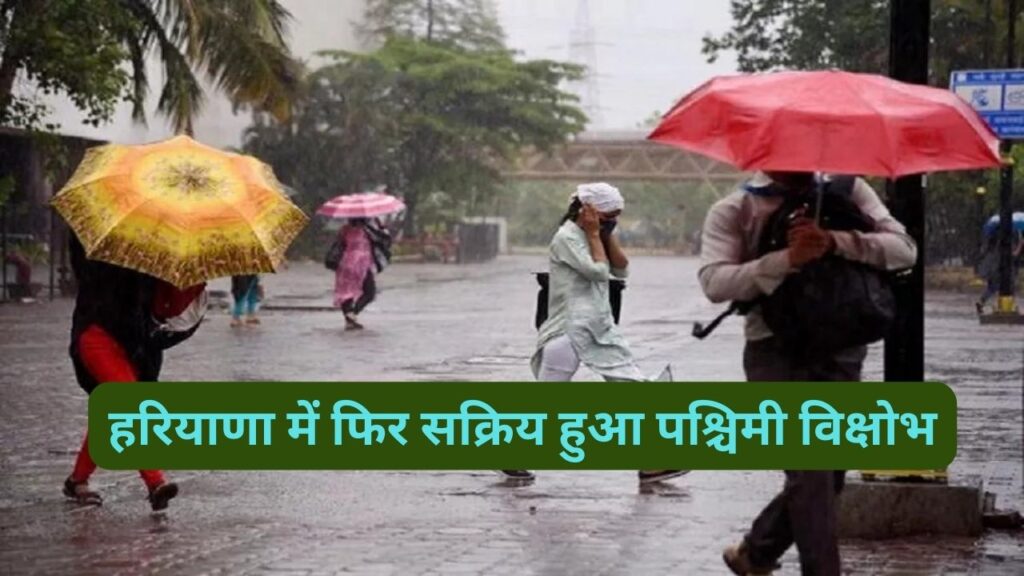 Haryana Monsoon Update 14 July 2024