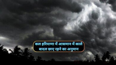 Haryana Weather Tomorrow