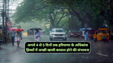 Haryana Monsoon Update 10 August