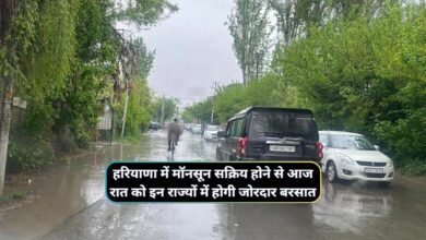 Haryana Monsoon Update 8 August