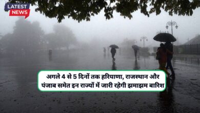 Monsoon Forecast 13 August 2024