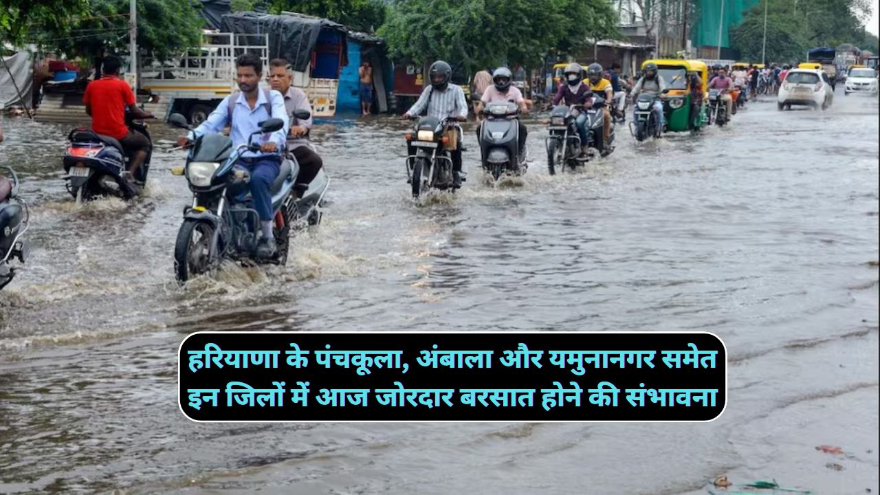 Monsoon Forecast Haryana 10 August