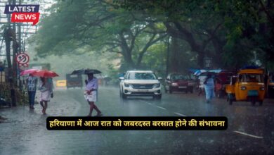 Monsoon Forecast Haryana 18 August