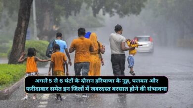 Monsoon Update Haryana 11 August