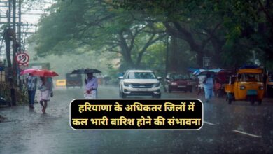 Monsoon Update Haryana 20 August