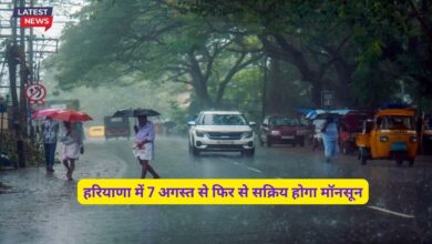 Monsoon Update Haryana 3 August