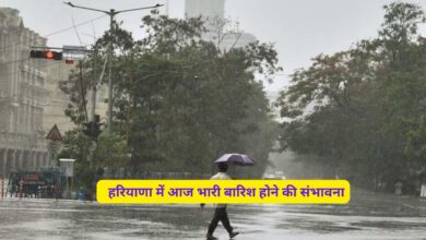 Monsoon Update Haryana Delhi 12 August