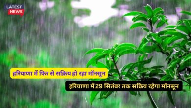 Monsoon Update Haryana 25 September