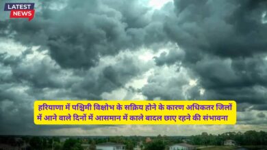 Haryana Mausam Forecast 10 October