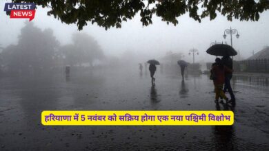 Mausam Forecast Haryana 29 October